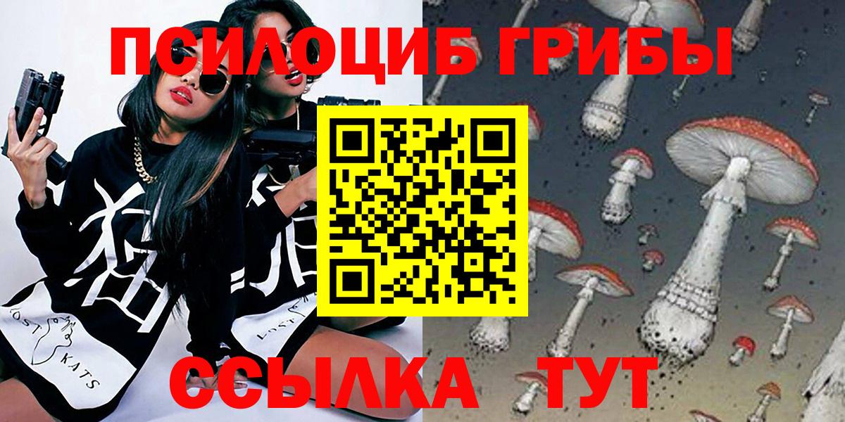 Галлюциногенные грибы Psilocybine cubensis Мелеуз