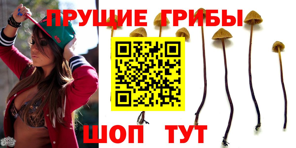 Мелеуз  Псилоцибиновые грибы MAGIC MUSHROOMS  Вход с VPN 